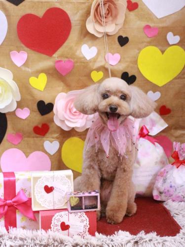 20230203うたちゃん